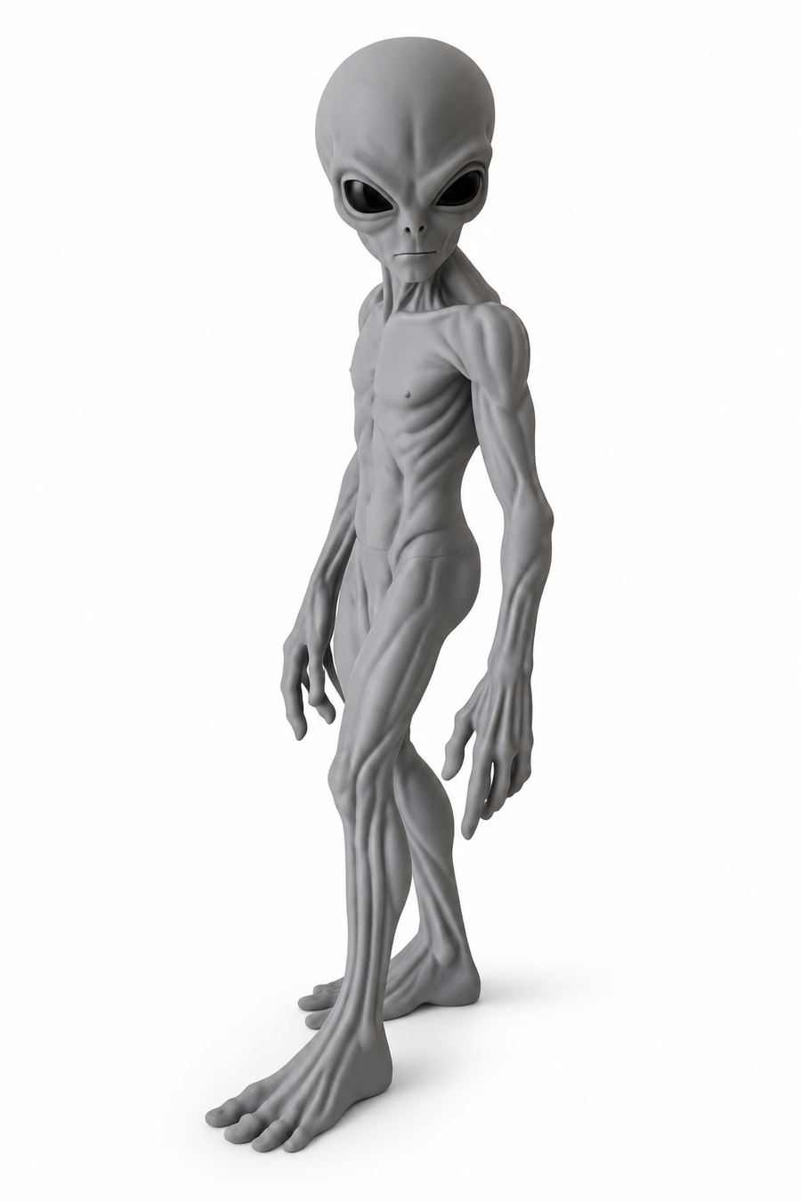 The Watcher